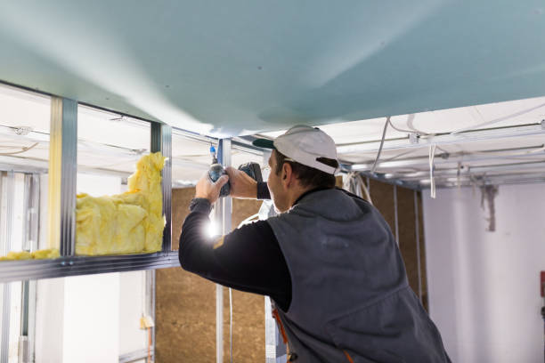 Best Insulation Installation Services in Sand Lake, MI
